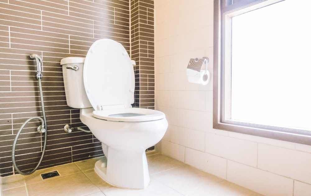 The Biblical Meaning Of Feces In A Dream CMANWR1 ORG