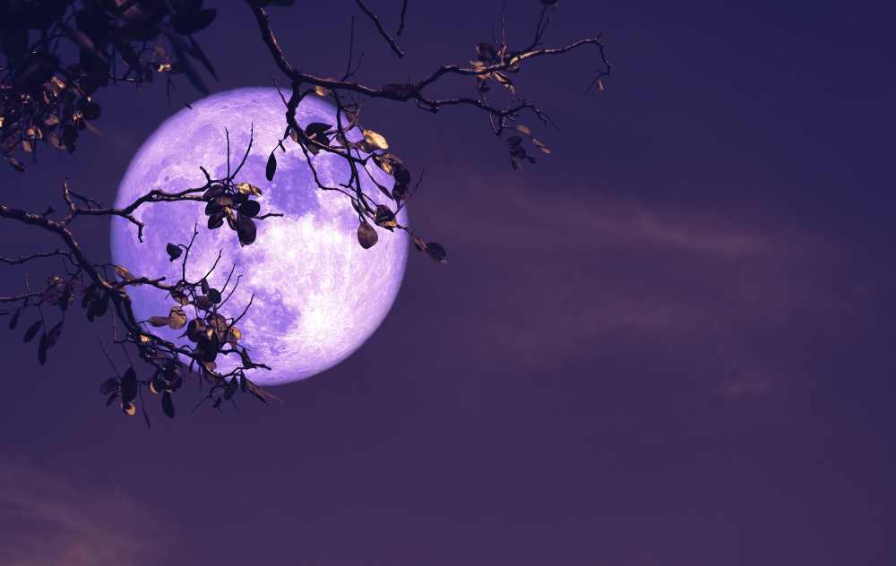 Flower Moon Spiritual Meaning 2024 May 23 Full Moon •