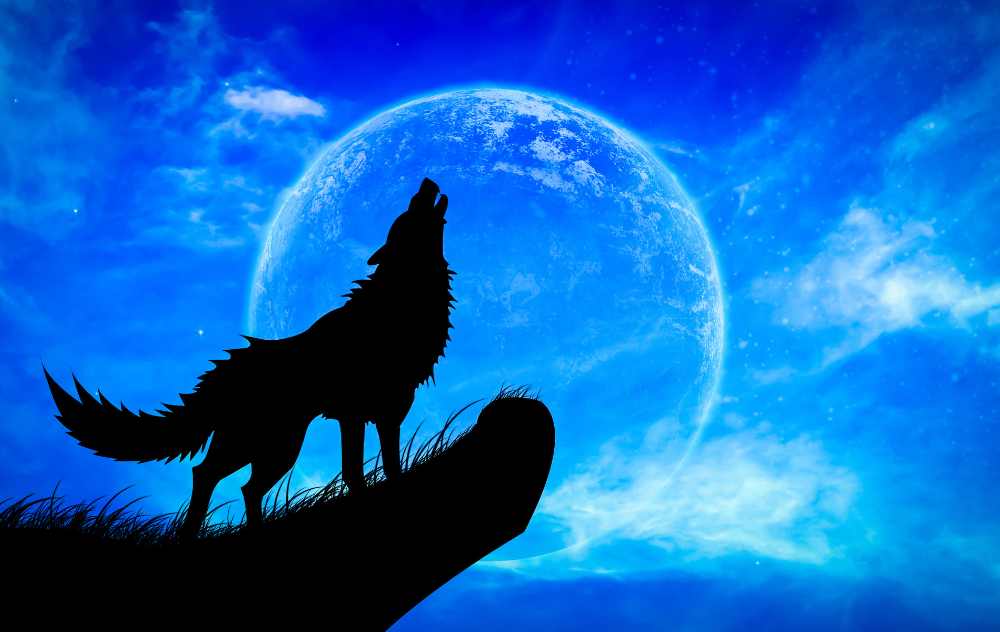 Wolf Moon Spiritual Meaning 2024 January 25 Full Moon •