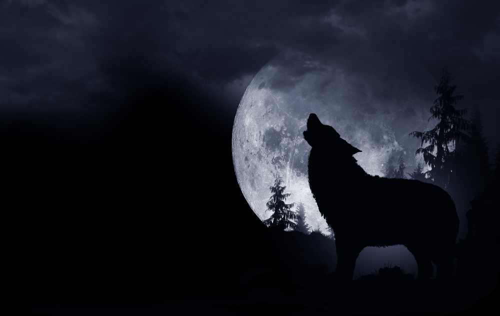 wolf moon spiritual phase significance